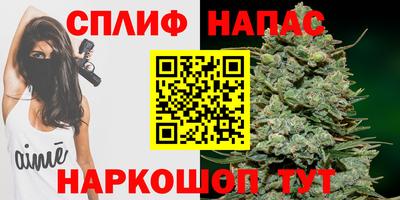 apvp Будённовск