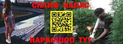 apvp Будённовск