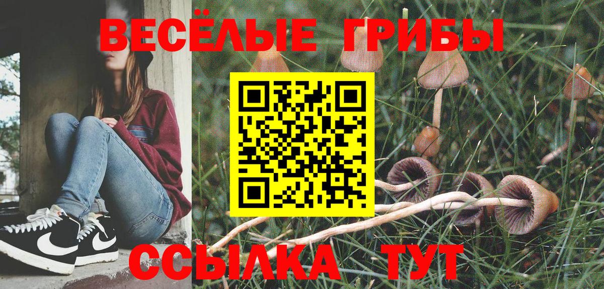 Псилоцибиновые грибы Magic Shrooms  Галлюциногенные грибы Cubensis  Фурманов  Вход с VPN 